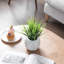 25.4cm Faux Onion Grass Grass