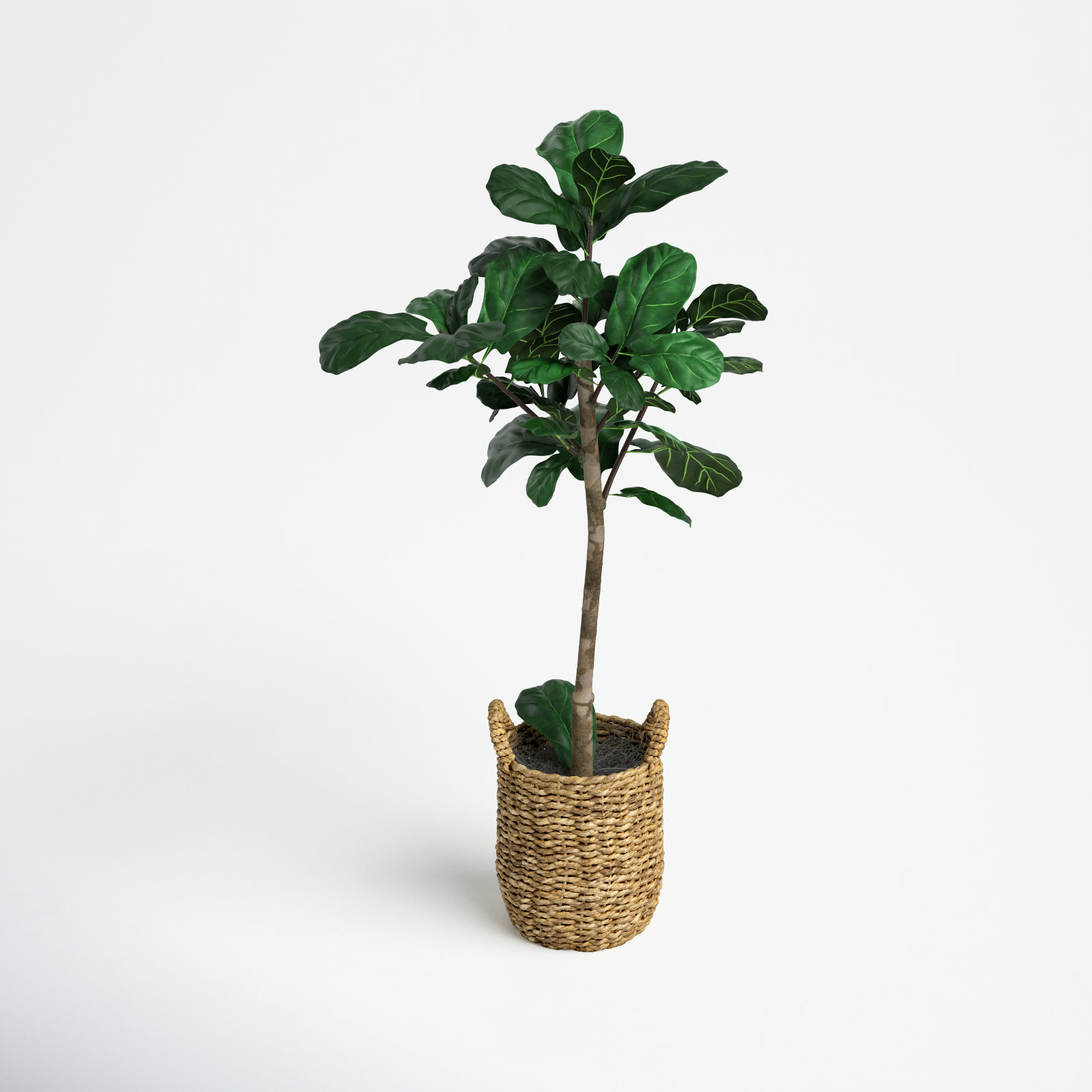 Joss & Main 30'' Faux Fiddle Leaf Fig Tree in Glass Basket & Reviews