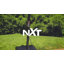 Panier de basketball Silverback NXT 50