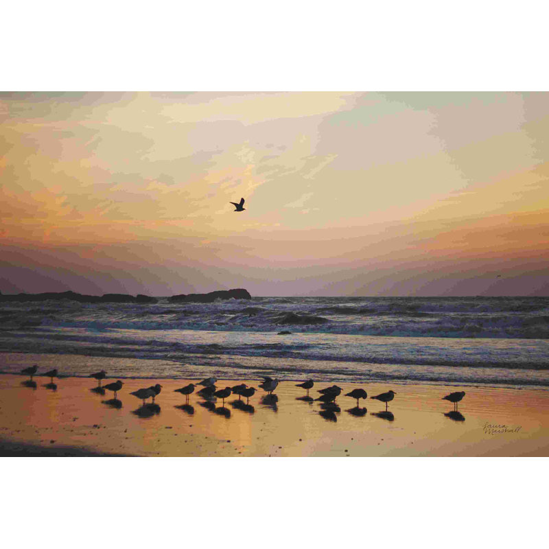 Kalaloch Birds III, H 8 po x l 12 po, Non, Toile tendue