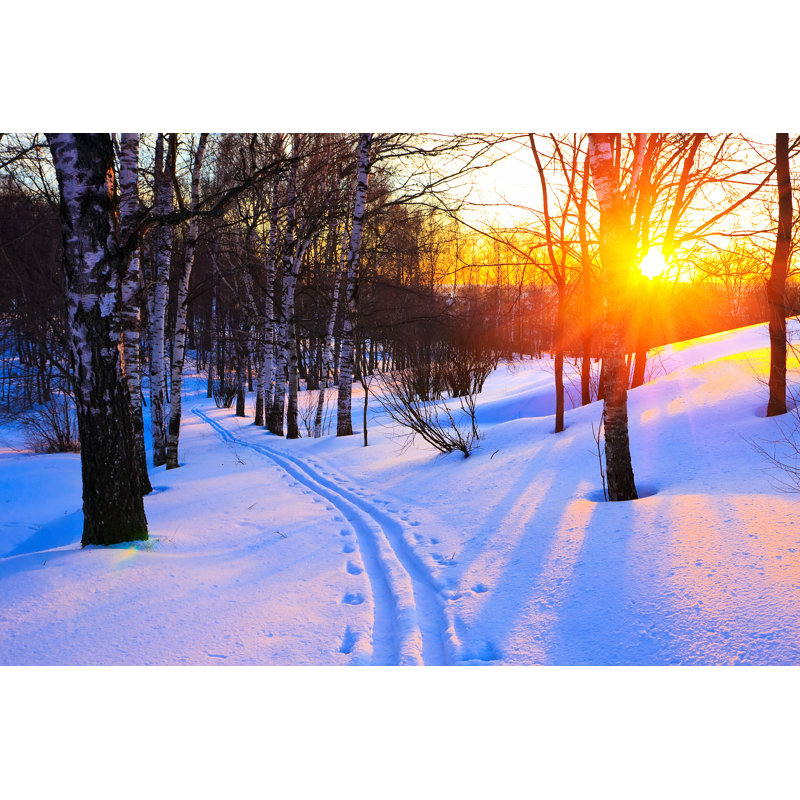 Snow In A Woodland by Sborisov - Wrapped Canvas Print, 30cm H x 46cm W x 3.8cm D