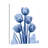 " Indigo Spring Tulips 2 "-23604777
