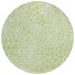 Blanc/Vert