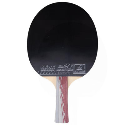 DOUBLE FISH Single Table Tennis Racket