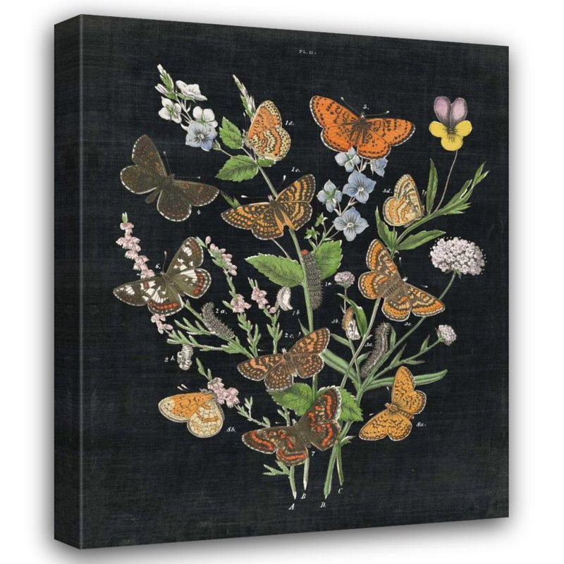 Art sur toile tendue, Rosalind Wheeler Wild Apple, H 18 po x l 15 po