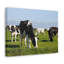 No Frame Print on Canvas