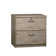 Summy 30.3'' Wide 2 -Drawer File Cabinet