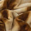 Couverture -1623992651