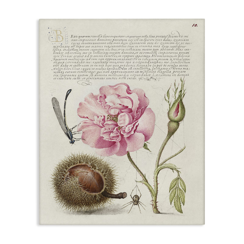 Art antique par Joris Hoefnagel, H 40 po x l 30 po