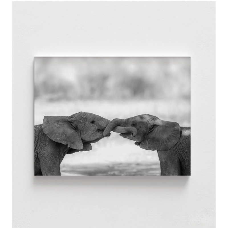 «Baby Elephant Friends», reproduction de photo, idée de décor de garderie pour bébé, éléphanteau, H 42 po x l 56 po