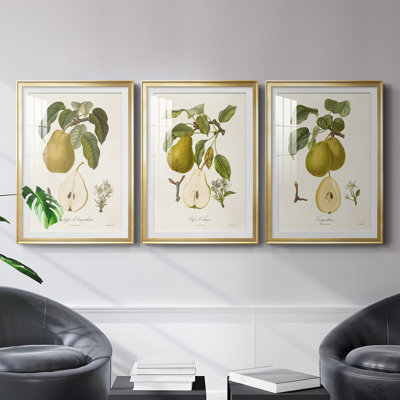 " Vintage Pears I " 3 - Pieces