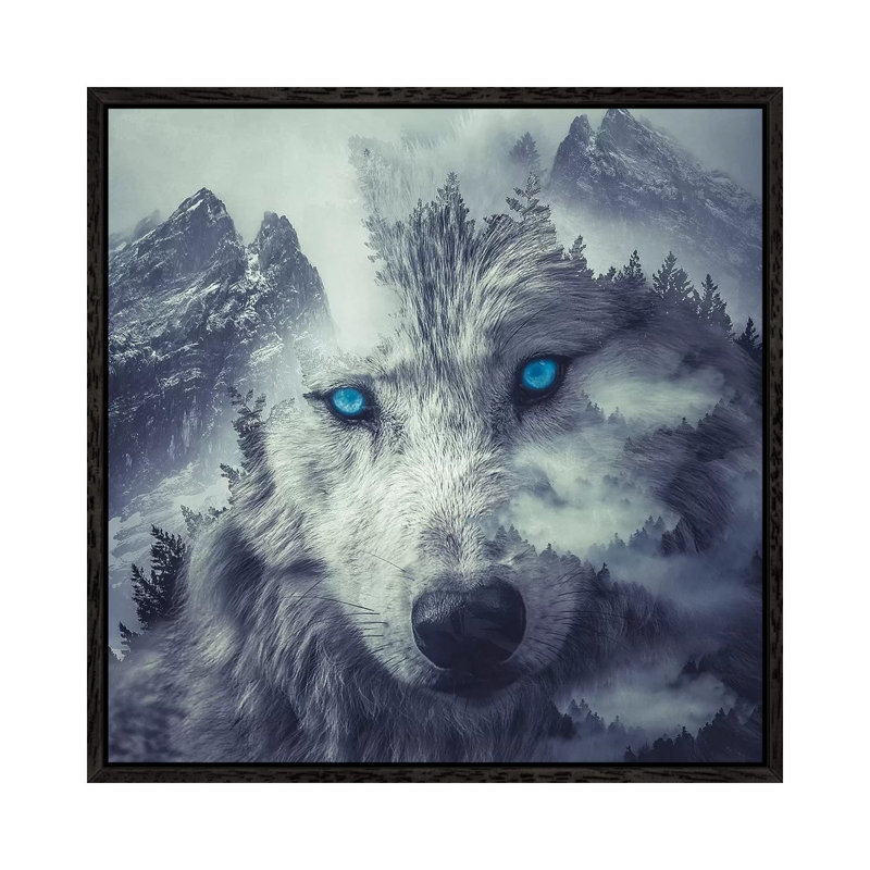 Mountain Wolf by Paul Haag - Print on Canvas, 45.72 cm H x 45.72 cm W, Black Framed