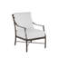Monaco Arm Chair with Cushions-69976247-138135372-138135399