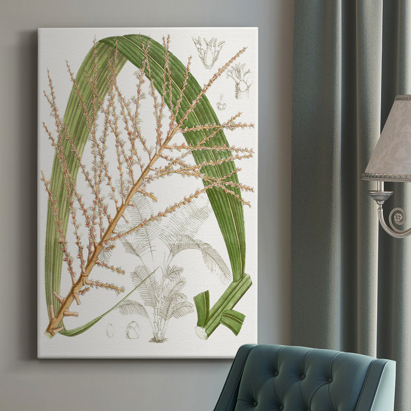 Palmier Palmier VII - impression sur toile tendue, H 18 po x l 12 po x P 1 po