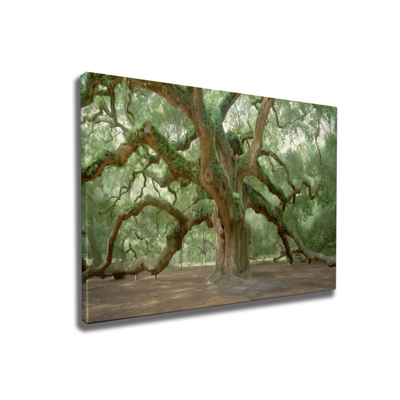 Superbe peinture décorative sur toile, 27,6 po x 39,4 po | 50% coton / 50% polyester, impression numérique sur toile | Cadre en bois robuste de 0,8 po x 0,8 po, parfait pour la décoration de salon ou de bureau, art mural accrocheur