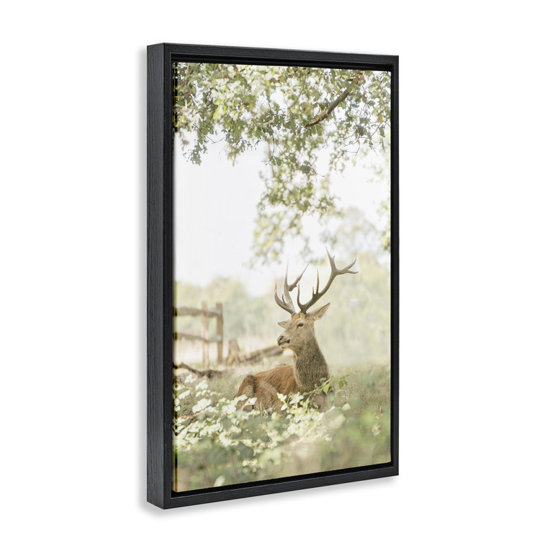 Cadre flottant avec portrait de cerf à queue blanche, design par Leah Straatsma, H 25 po x l 17 po