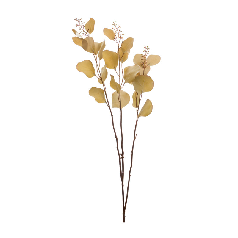 Tige d'eucalyptus ensemencé (ensemble de 6), Brun