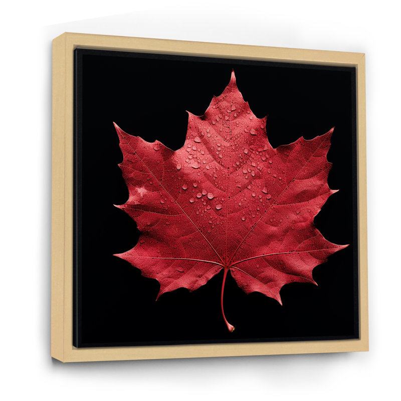 Red Leaves Red Ruby I, H 24 po x l 24 po x P 1 po, Cadre naturel flottant