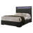 Petronille Bookcase Storage Bed-2108749355