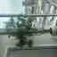 Photos des clients 1 de 1