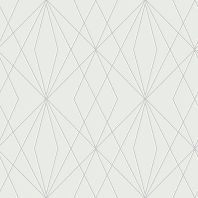 Fechter Peel & Stick Geometric Double Roll