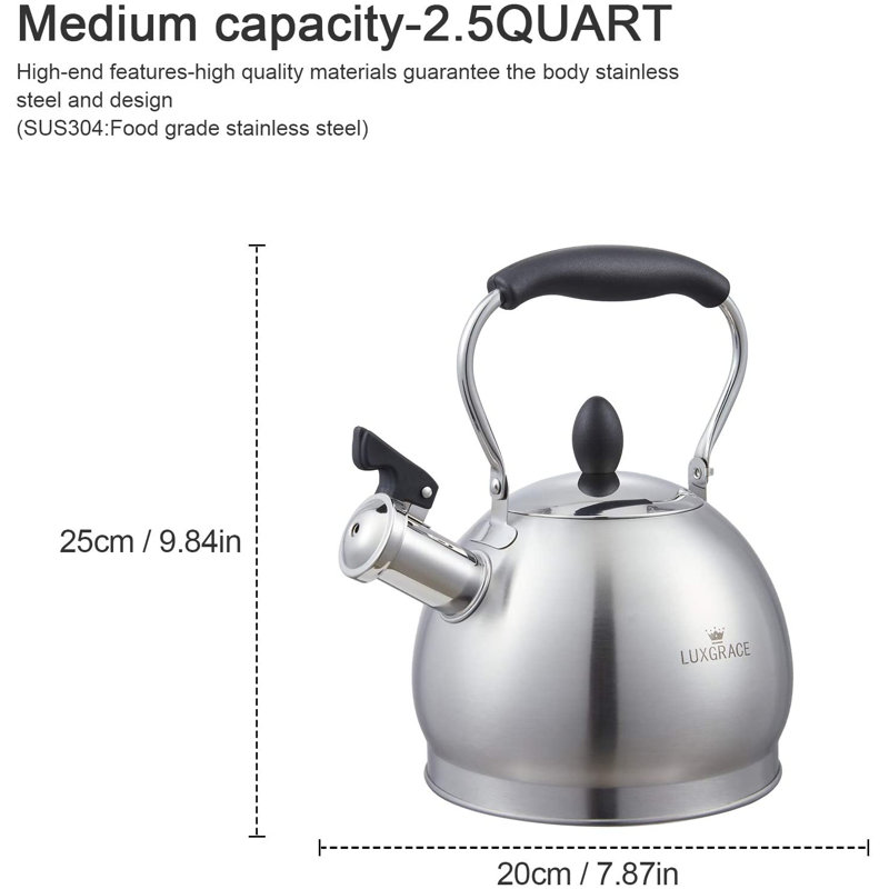 Creative Home 2,6 pte Théière en acier inoxydable avec poignée pliante et fond en aluminium pour une eau bouillante rapide, pour un plateau à induction, finition satinée