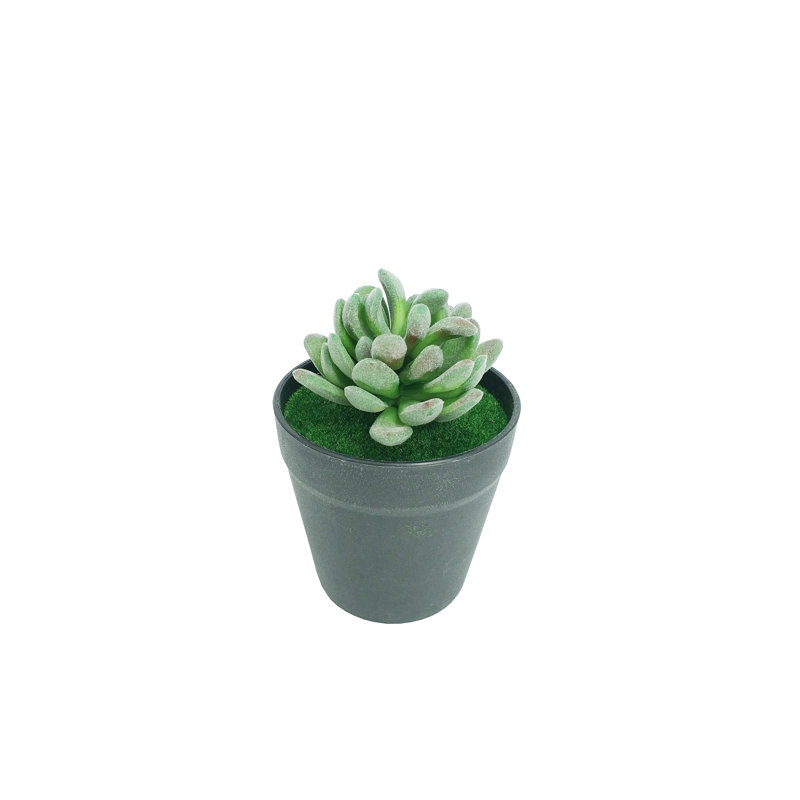 Jardinière artificielle verte 3,5 po x 3,5 po x 5,1 po avec plante grasse verte