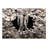 Fedra Wall Mural-1938304490