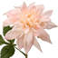 Tige de dahlia peint 29 po 