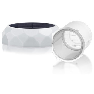 6.29'' Solar Powered Integrated LED Accent