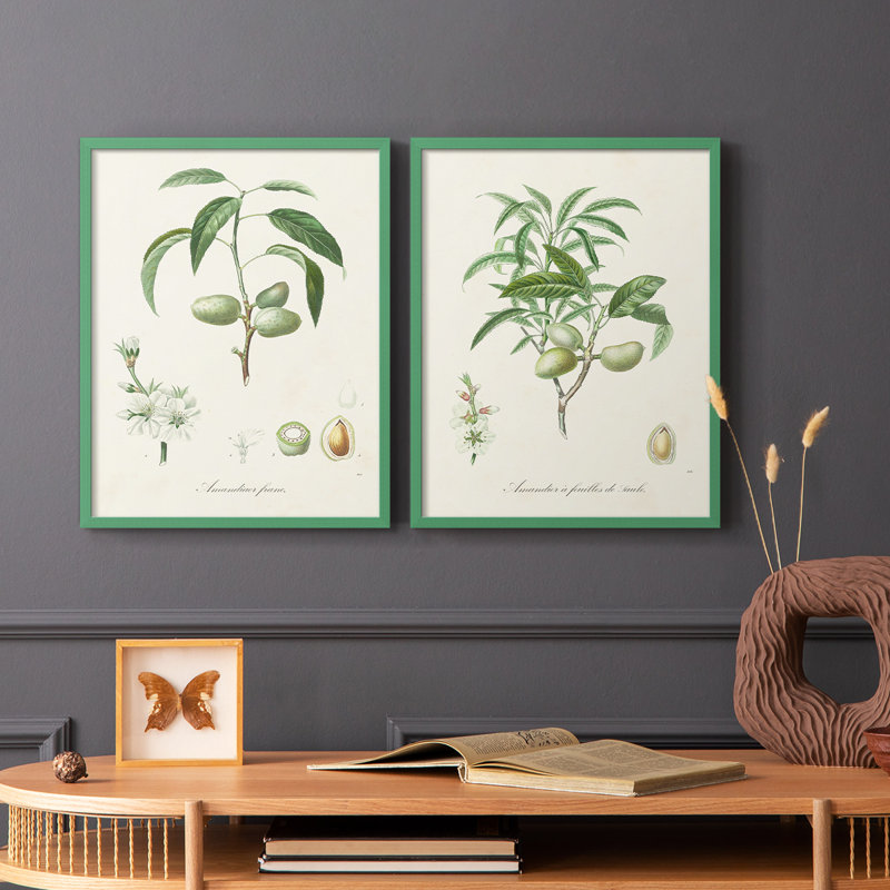 Impression encadrée botanique antique I-Premium - prête à être accrochée - aucun clou requis, H 29 po x l 46 po, Gris