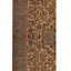 Wool Oriental Area Rug