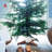 Live Christmas Tree Stand