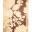 Classic One-of-a-Kind 6' 0" X 6' 2" Hand Knotted Area Rug