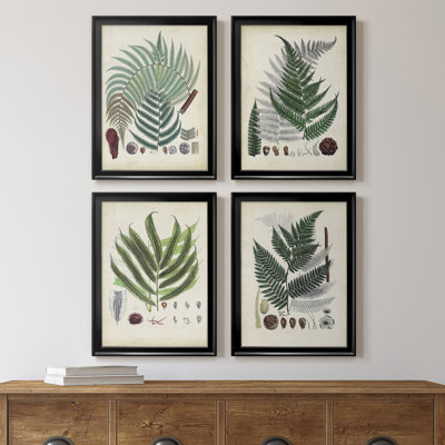 Collection Ferns I - ensemble de 4 peintures sur toile encadrées