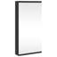 Aheed Framed Mirrored Bathroom Cabinets-785829831