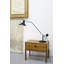 Mantis Desk Table Lamp