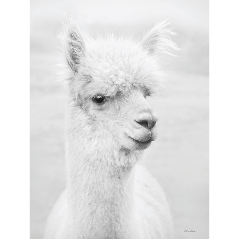 " Alpie The Alpaca ", 30" H x 20" W  