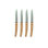 Costa Nova 4 Piece Stainless Steel (18/10) Steak Knife Set
