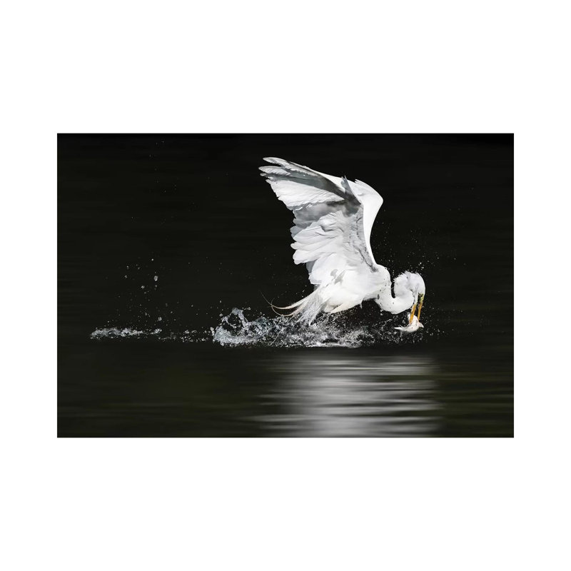 Spearhead 1 Piece Wrapped Canvas Wall Art, 66.04 cm H x 45.72 cm W x 1.91 cm D