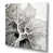 Toile tendue