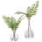  Country Ferns Set/2