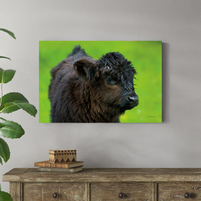 «Scottish Highland C bestell» par Alan Majchrowicz, reproduction de photo sur toile tendue