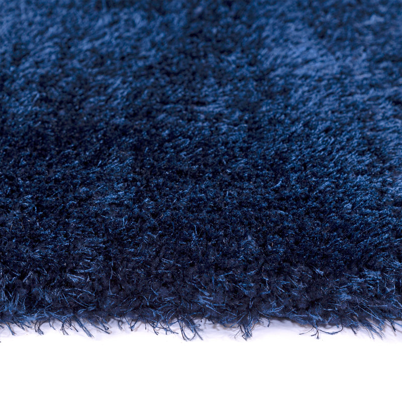Cataliyah Shag Indoor / Outdoor Area Rug, Rectangle 80 x 150 cm