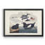 «Black Gillemot» - reproduction de photo encadrée sur toile-1672687728-1672687729