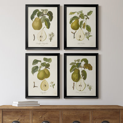 Vintage Pears I - ensemble de 4 peintures sur toile encadrées
