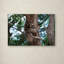Ann «Sloth», reproduction de photo sur toile tendue Ann-24190911