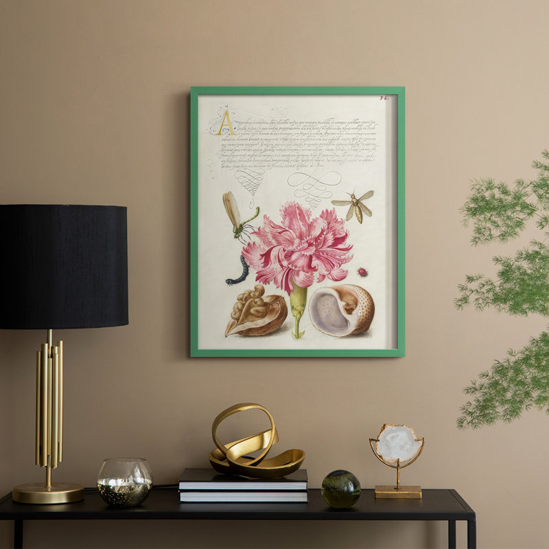 Reproduction encadrée Hoefnagel Tropical Specples VI - bois massif, H 15 po x l 12 po, Vert