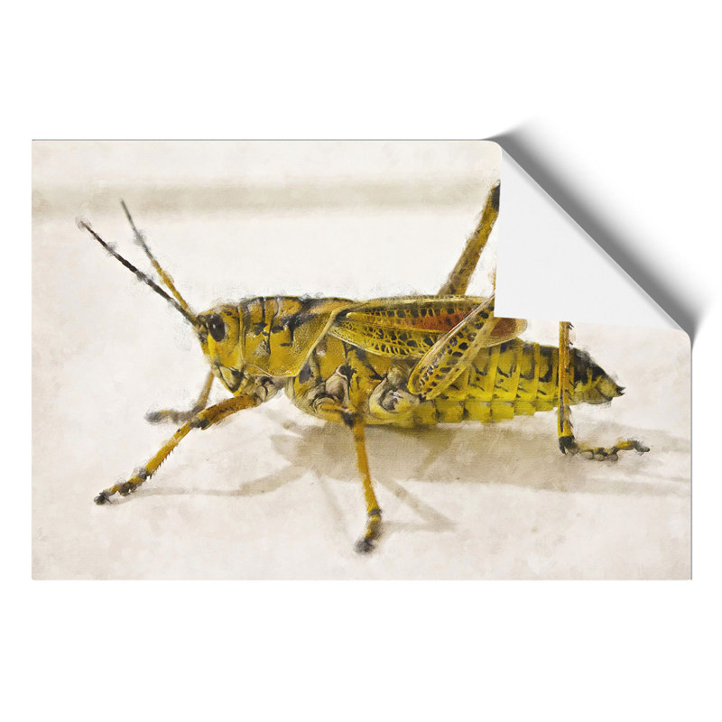 Grasshopper Painting - Frameless Print, 42cm H x 59cm W x 0.1cm D