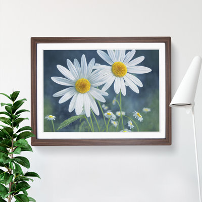 Pretty Daisy Flowers - Framed Print